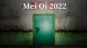 MeiQi 2022 PC Steam Аккаунт