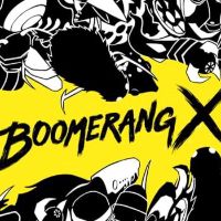Boomerang X Steam Альтергифт