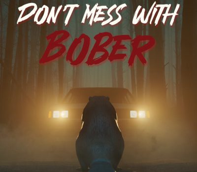 Don't Mess With Bober EU PS5 Ключ