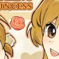 Volcano Princess PC Steam Ключ