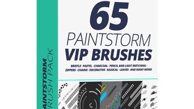 Paintstorm VIP Brushes Ключ