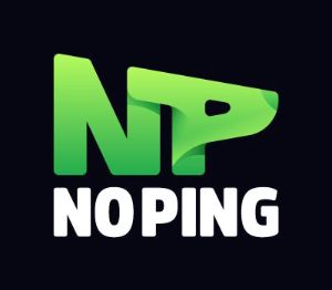 NoPing Advanced - 360 Days Subscription Ключ
