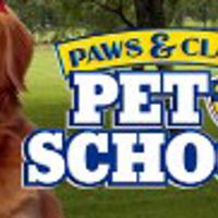 Paws and Claws: Pet School Steam Ключ
