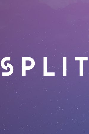 Split Steam CD Key