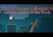 The Princess Adventure Steam Ключ