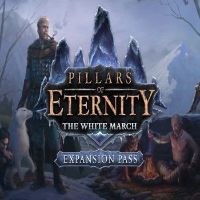 Pillars of Eternity: The White March Пропуск расширений RU VPN Activated Steam Ключ