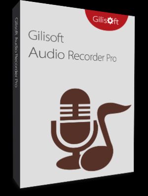 Gilisoft Audio Recorder Pro Ключ