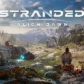 Stranded: Alien Dawn — Ключи активации