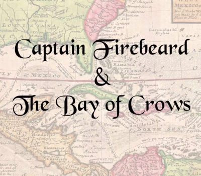 Captain Firebeard and the Bay of Crows Steam Ключ