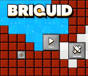 Briquid Steam Ключ
