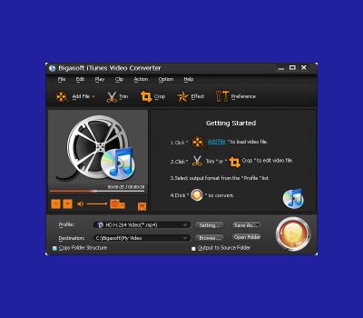 Bigasoft iTunes Video Converter PC Ключ