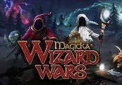 Magicka: Wizard Wars - Paradox Playtpus Robe DLC Steam Ключ