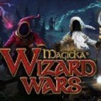 Magicka: Wizard Wars - Paradox Playtpus Robe DLC Steam Ключ