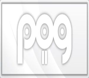 POG 2 Steam Ключ