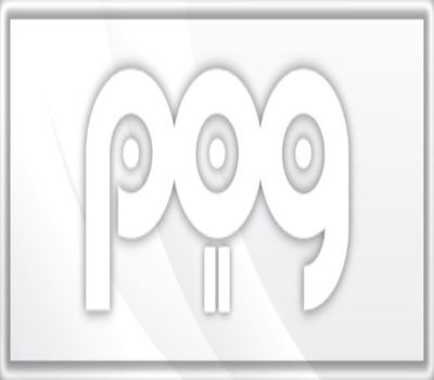 POG 2 Steam Ключ