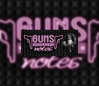 Guns and Notes Steam Ключ