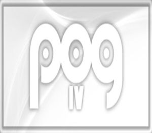 POG 4 Steam Ключ