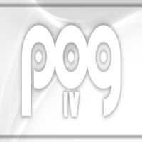 POG 4 Steam Ключ