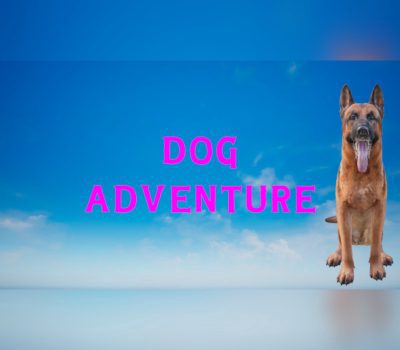 Dog Adventure Steam Ключ