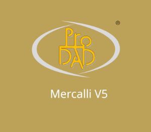 proDAD Mercalli V5 Plugin Ключ (2 Years / 1 PC)