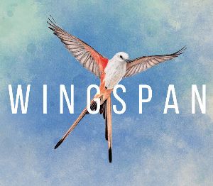 Wingspan AR XBOX One Ключ