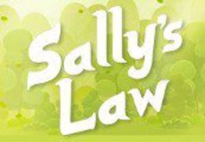 Sally's Law Steam Ключ