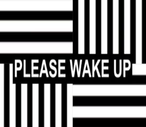 Please Wake Up Steam Ключ