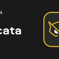 Gecata by Movavi 6 - Streaming and Game Recording Software Steam Ключ