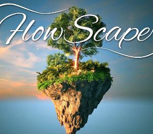 FlowScape EU PC Steam Альтергифт