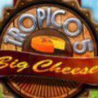 Tropico 5 - The Big Cheese DLC EU Steam Ключ