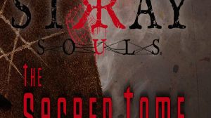 Stray Souls - The Sacred Tome DLC PC Steam Ключ