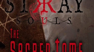 Stray Souls - The Sacred Tome DLC PC Steam Ключ