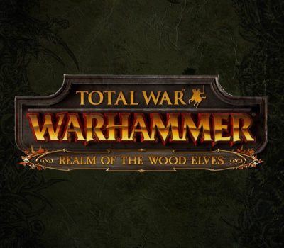 Total War: Warhammer - Realm of The Wood Elves DLC EU PC Steam Ключ