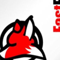 NCH: FastFox Text Expander Ключ