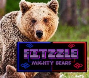 Fitzzle Mighty Bears Steam Ключ