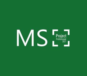 MS Project Professional 2021 Ключ