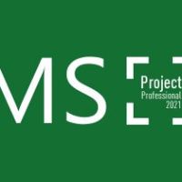 MS Project Professional 2021 Ключ