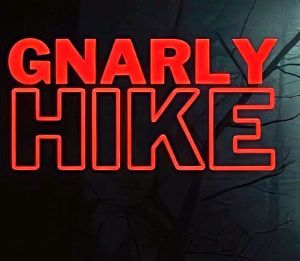 Gnarly Hike Steam Ключ