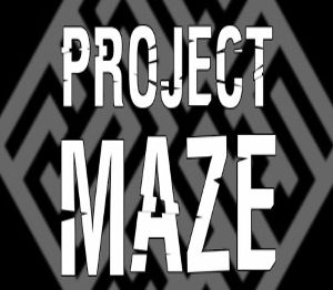 PROJECT MAZE Steam Ключ