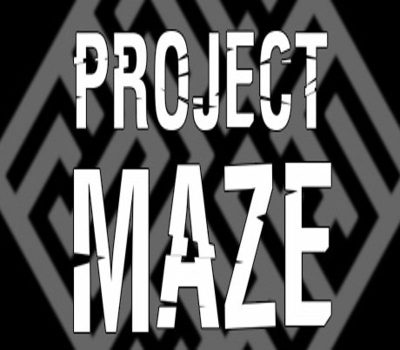 PROJECT MAZE Steam Ключ