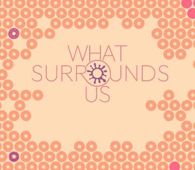 What Surrounds Us PC Steam Ключ