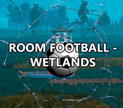 ROOM FOOTBALL: Wetlands PC Steam Ключ