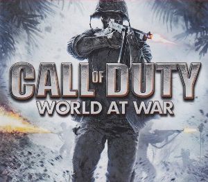 Call of Duty: World at War PC Steam Ключ