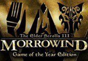 The Elder Scrolls III Morrowind GOTY Steam Подарок