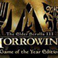 The Elder Scrolls III Morrowind GOTY Steam Подарок