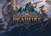 Pillars of Eternity II: Deadfire EU PC Steam Альтергифт