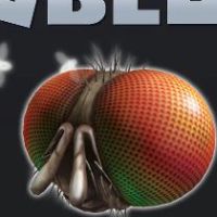 Roblox - Freaky Fly Face DLC Ключ