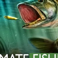 Ultimate Fishing Simulator VR Steam Ключ