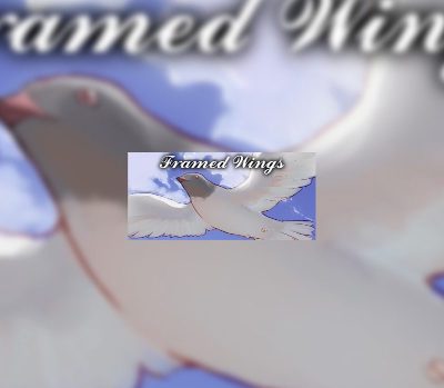 Framed Wings Steam Ключ