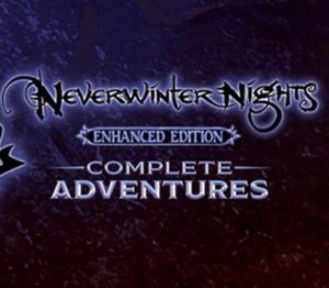 Neverwinter Nights: Complete Adventures (2024) PC Steam Ключ